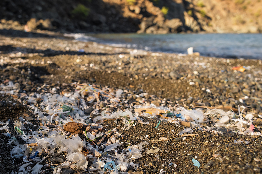 Microplastics: Can Recycling Really Help Reduce Them?